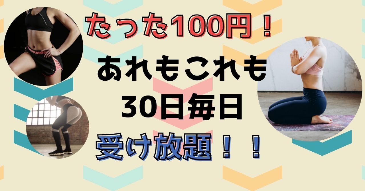 SOELUはたった100円で30日間受け放題で超お得すぎる