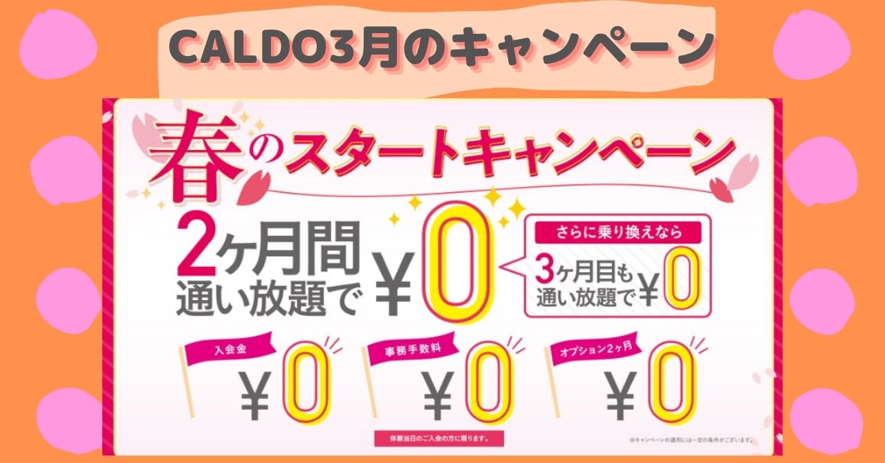 CALDO2022.03スタートキャンペーン